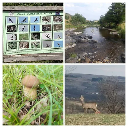 Brvnara Gaj Divcibare Požega