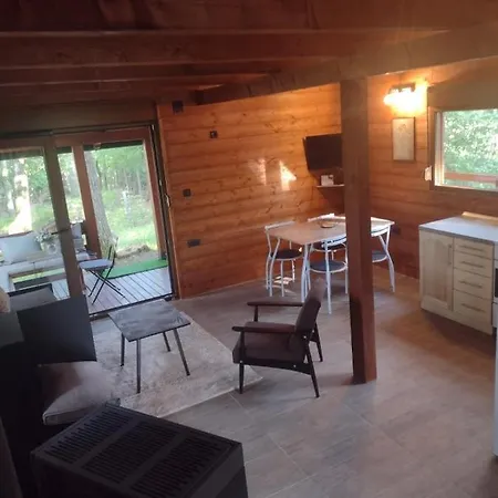 Prázdninový dům Brvnara Gaj Divčibare *