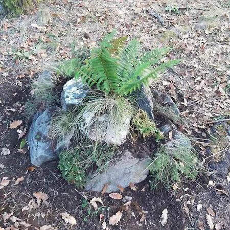 Prázdninový dům Brvnara Gaj Divčibare