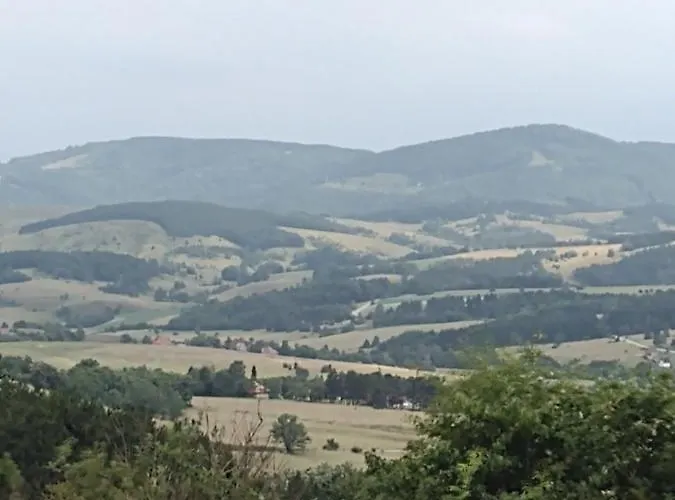 Brvnara Gaj Divcibare 度假居 *