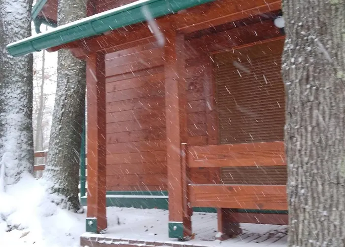 Brvnara Gaj Divcibare *